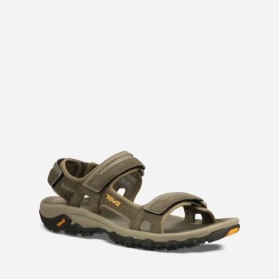 Teva Hudson Men's Hiking Sandals South Africa - SKC281306